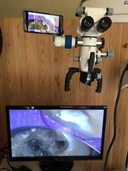壁, 室内, テレビ, モニター が含まれている画像
非常に高い精度で生成された説明