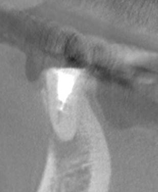 人の足
中程度の精度で自動的に生成された説明