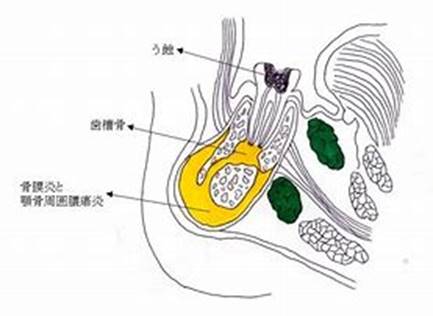 テキスト, 地図 が含まれている画像
自動的に生成された説明